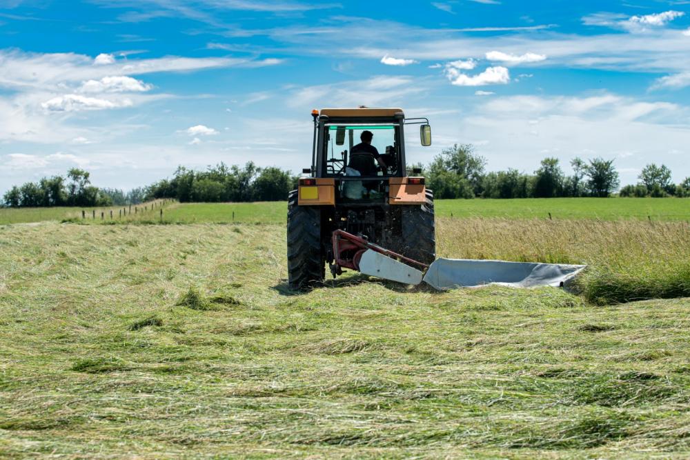 fauchage à Le Perrier