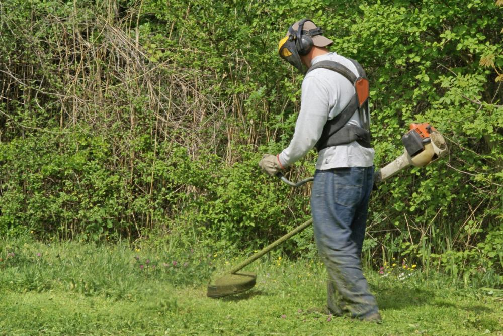 débroussaillage à Le Perrier