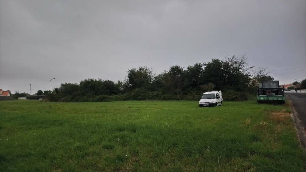 terrain agricole